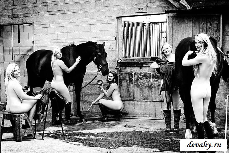 Эротичные черно-белые снимки моделей на лошадях